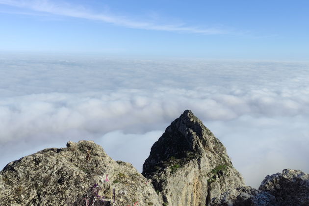 Фото экскурсии - Розовое озеро, Радужные горы, скала Бешбармаг, Дегустация черной икры - 5