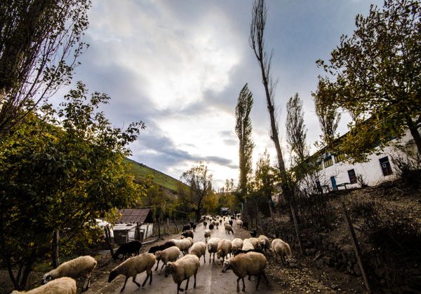 Неизведанная Габала: Тайны древнего храма и суфийских мавзолеев  - фото 3
