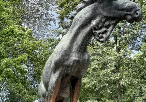  «Выборг: путешествие сквозь века» — большая обзорная экскурсия - фото 1