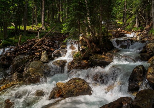 Прогулка к Белому водопаду: несложный треккинг в горах - фото 2