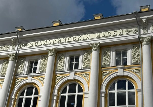 Как Москва училась учиться: от первых школ до университета на Моховой - фото 4