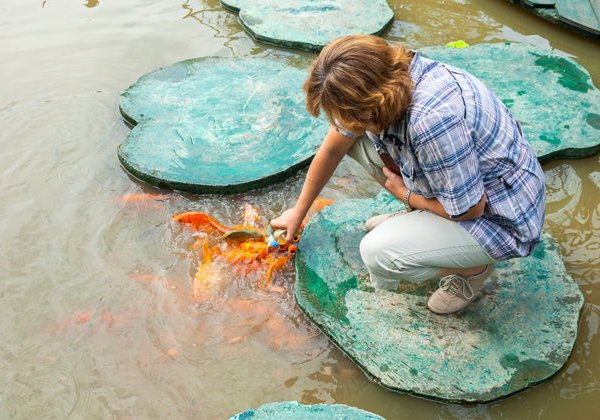 Экскурсия в парк Янг Бей: водопады, термы и шоу племени Раглай - фото 2