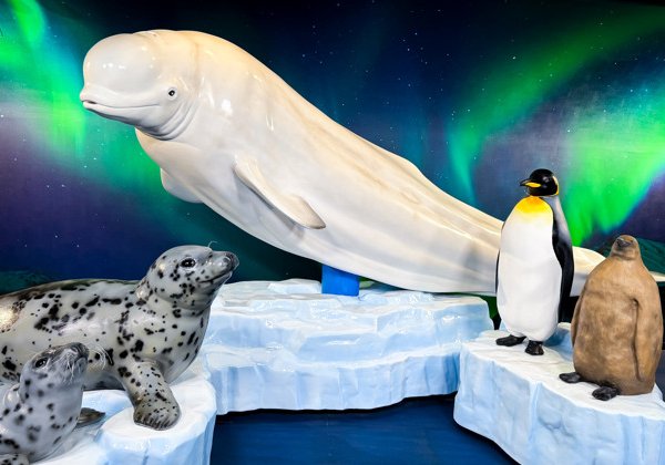 Билет в парк «Морской рай» на острове Хаккэйдзима