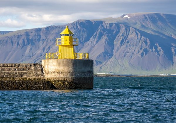 Круиз по наблюдению за китами и морскими обитателями Исландии - фото 2