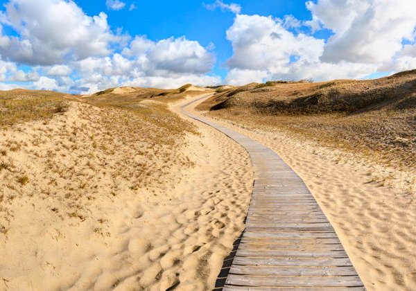Куршская коса с прогулкой на катере для желающих из Зеленоградска - фото 1