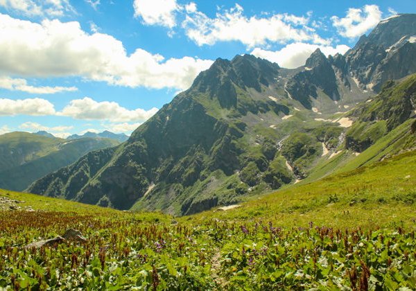Из Архыза к перевалу Пхия и альпийским лугам - фото 4