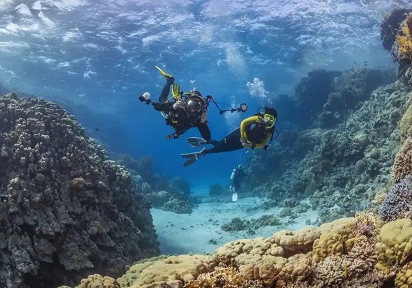 Дайвинг в Кемере из Кириша — морское путешествие с погружением - фото 1