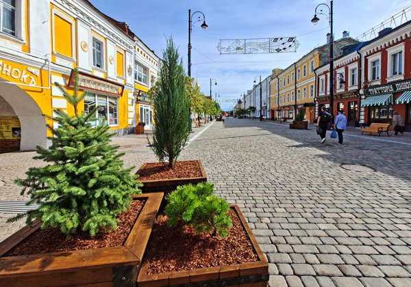 Обзорная прогулка по городу старинных вывесок - фото 3