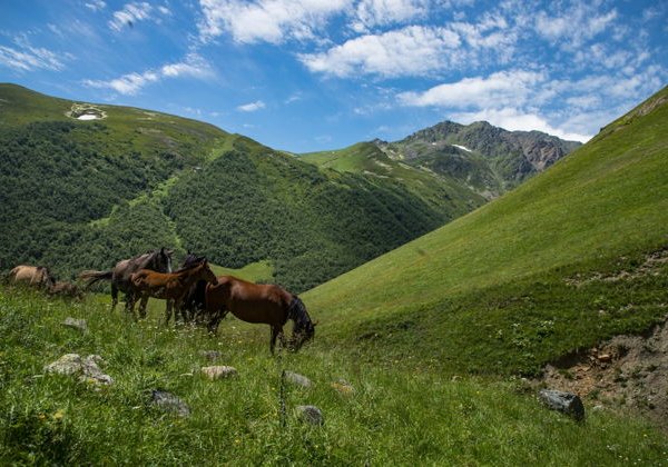 Яблоко Нартов — 5 дней/4 ночи - фото 1