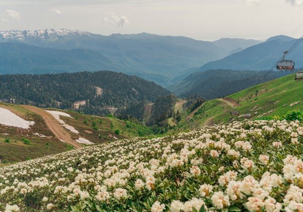 Три курорта Красной Поляны, канатная дорога (960 м) и шоу фонтанов - фото 1