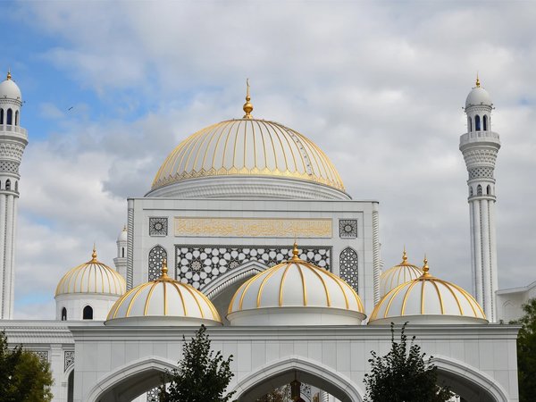 Топовые достопримечательности Чечни за 1 день! - фото 2