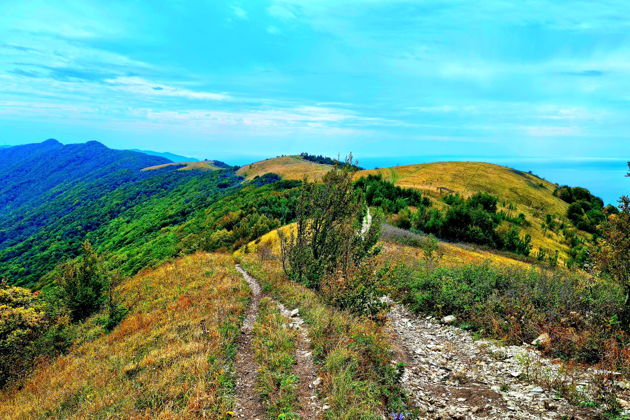 Хребет Маркхот. Лучшее место в Геленджике-3