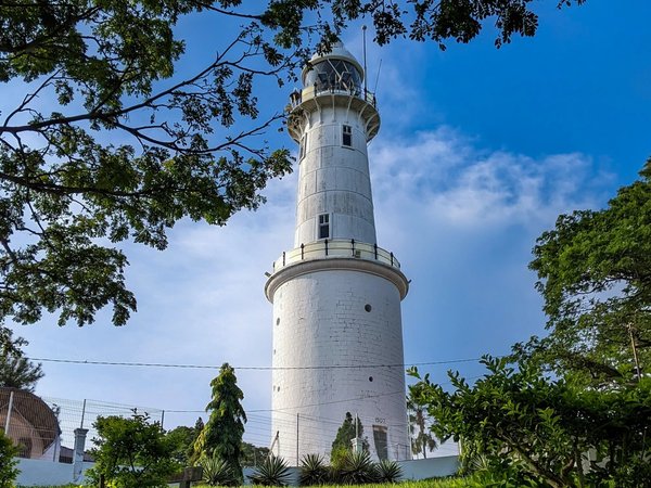 Из Куала-Лумпура — к дружелюбным лангурам и колониям светлячков - фото 4