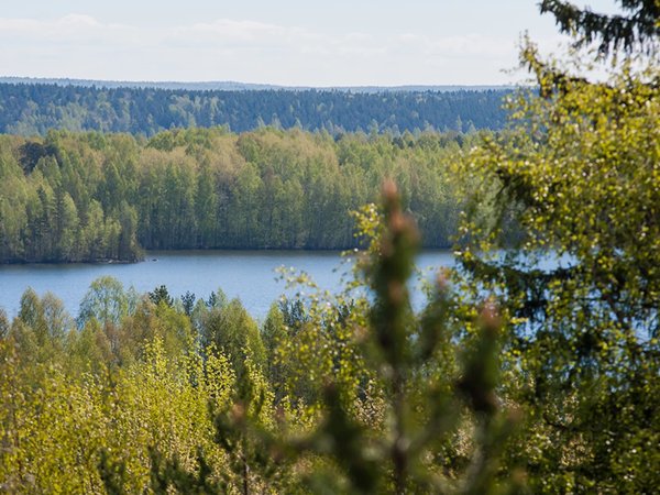 Автобусная экскурсия «Золотое кольцо Карелии» (из Петрозаводска) - фото 4
