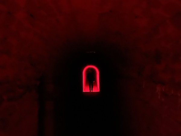 Катакомбы Петроварадинской крепости (из Нови-Сада) - фото 4