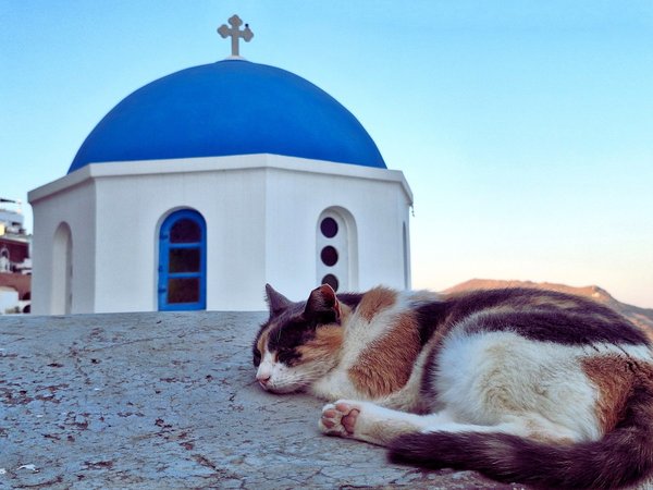 Санторини: яркие фотолокации, старые улочки и семейные истории - фото 3