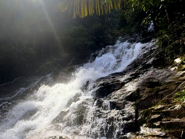 Из Куала-Лумпура — в экопарк: хайкинг к скрытым водопадам - фото 1