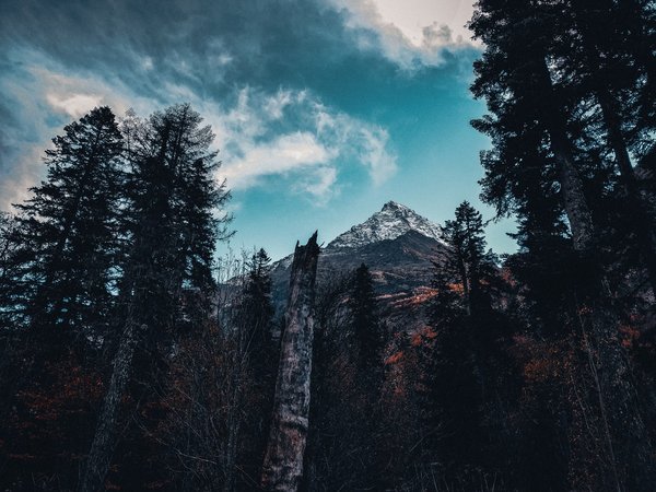 Горная сказка Домбая - фото 2