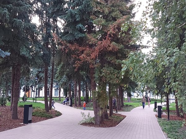 Обзорная экскурсия по Нижнему Новгороду на автобусе - фото 4
