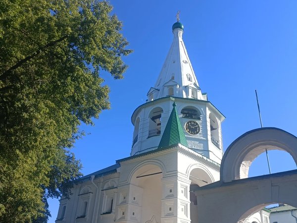 Занимательный Суздаль: экскурсия для взрослых и детей - фото 4