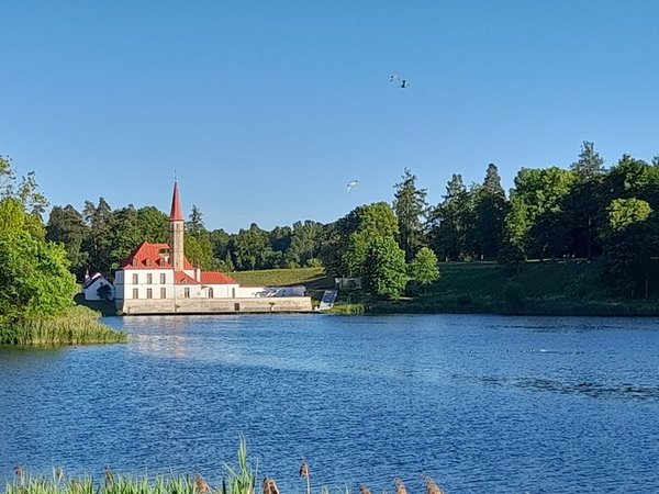 Все парки и замки Гатчины за один день - фото 3
