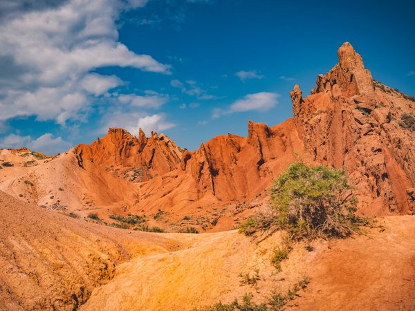 Вокруг озера Иссык-Куль в группе! - фото 1