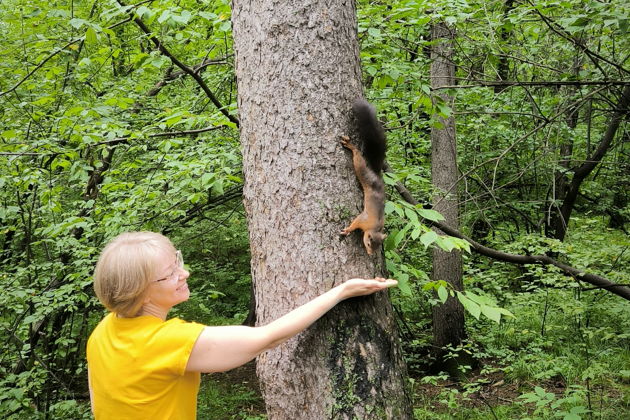 Фото экскурсии - "Сны зимнего леса" экскурсия в Дендрарий с таёжным чаем - 6