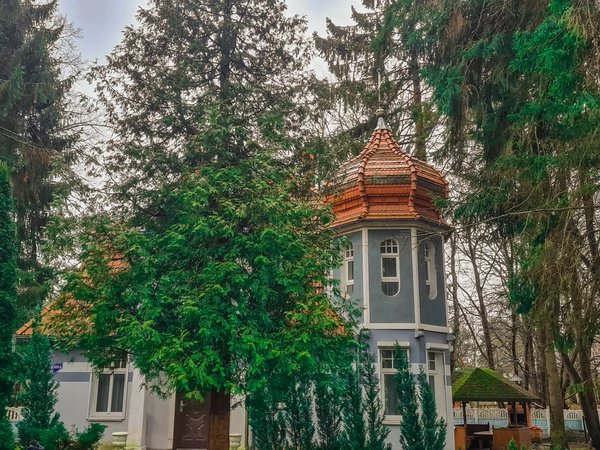 Променад по Светлогорску в мини-группе - фото 2