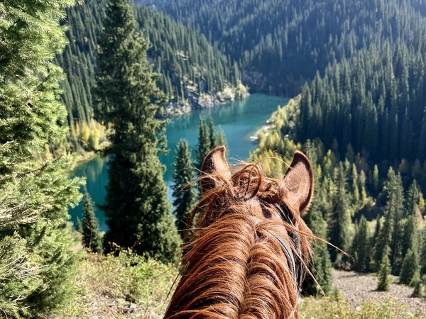 1 день красоты: каньоны Чарын и Чёрный, озёра Кольсай и Каинды - фото 3