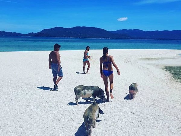 Индивидуальная морская прогулка со снорклингом и остановкой на Pig Island - фото 3