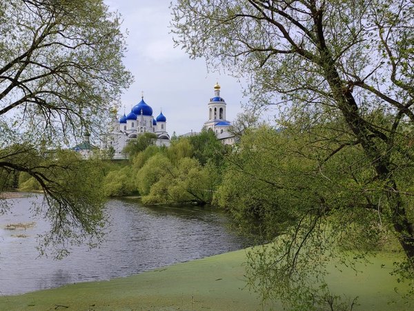 Мир Боголюбова: княжеский дворец и храм Покрова на Нерли - фото 1