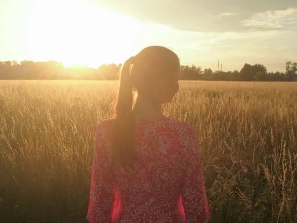 Мир Боголюбова: княжеский дворец и храм Покрова на Нерли - фото 2