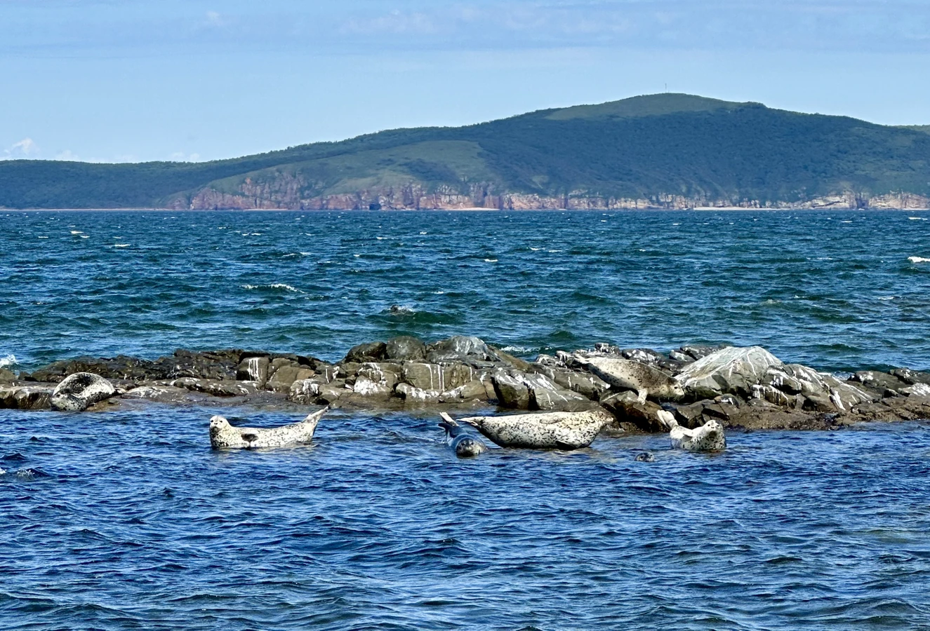 Морское путешествие по островам Японского моря