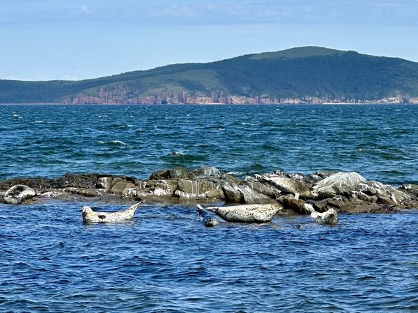 Морское путешествие по островам Японского моря