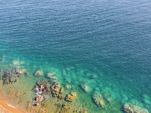 Лучшее на Русском острове: охватить самое важное за 1 день - фото 2
