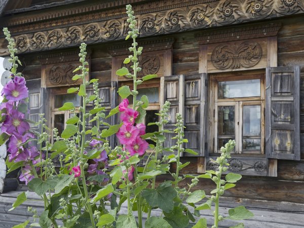 Суздаль заповедный и настоящий