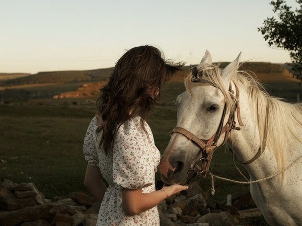 Выйду в луг и рощу с конём