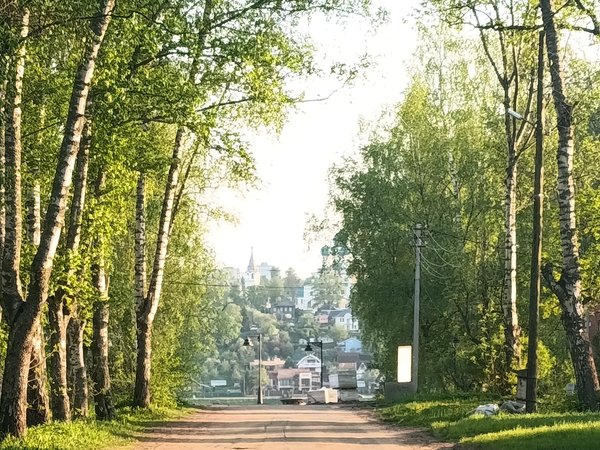 Тутаев: городские сюжеты и пейзажи Кустодиева - фото 3