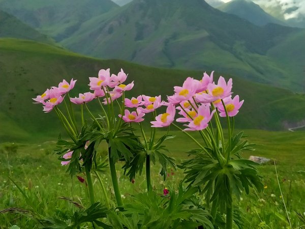 Незабываемая Осетия — из Нальчика