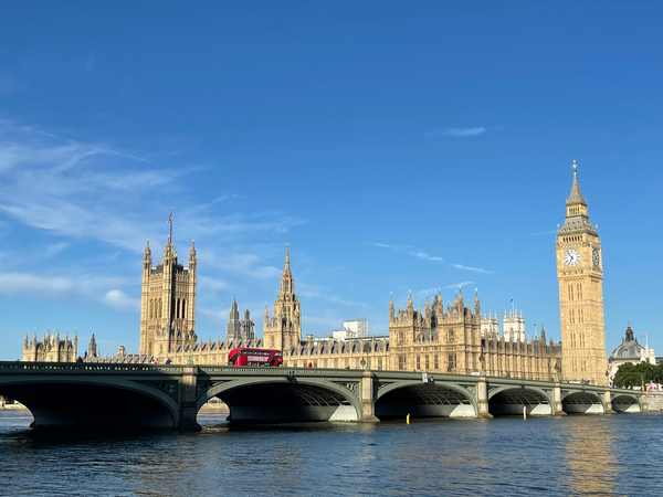 Обзорная экскурсия по Лондону: от London Eye до Трафальгарской площади - фото 1