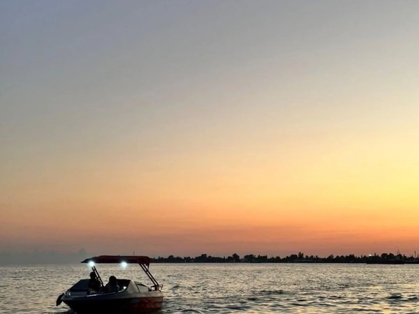 Встреча с дельфинами — на катере в Сухуме - фото 2