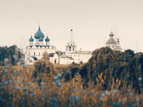 Тайны Суздаля для детей и взрослых - фото 4