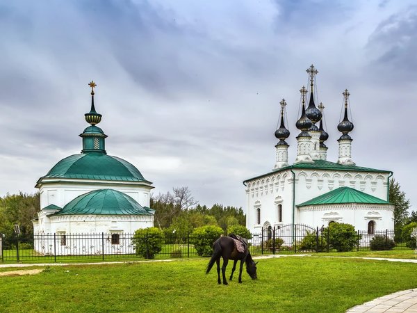 Тайны Суздаля для детей и взрослых - фото 3
