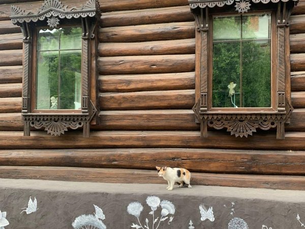 Летописный Козельск, Шамордино, Оптина и Фёклина пустыни - фото 3