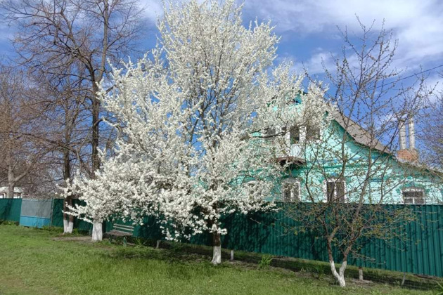 Фото - экскурсия: Прогулка по Куршской косе и осмотр немецкого форта