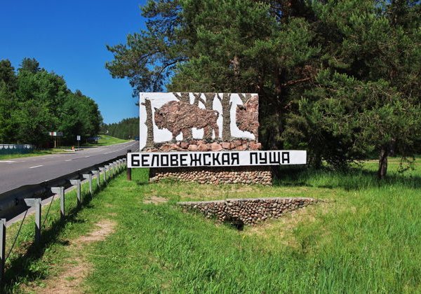 Брестская крепость и Беловежская пуща из Минска за 1 день - фото 1