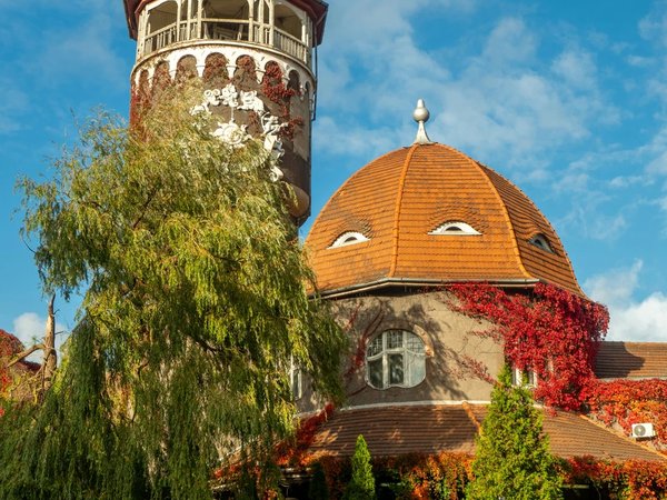 Светлогорск: от рыбацкой деревни до королевского курорта - фото 3