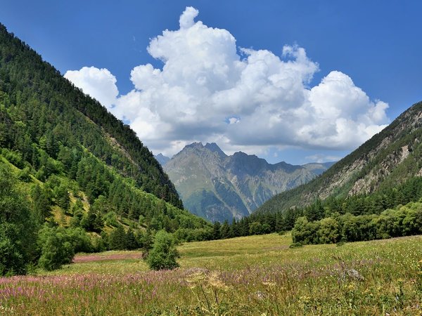 Это Швейцария? Это Домбай! Поездка из Железноводска - фото 3