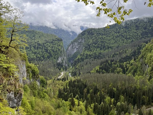 Из Сухума — к красавице Рице - фото 3