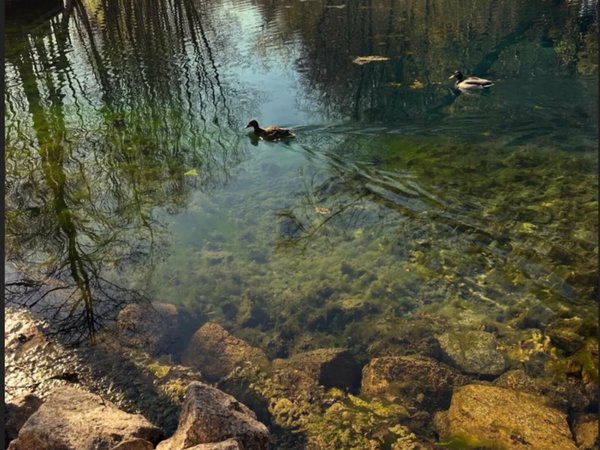 Голубые озёра и водопад: автобусное путешествие из Казани - фото 3